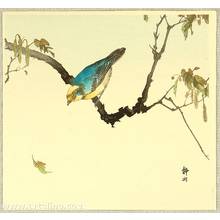静湖: Blue Bird - Artelino