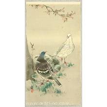 小原古邨: Pigeons under Cherry Tree - Artelino