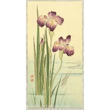 Unknown: Iris and Frog - Artelino