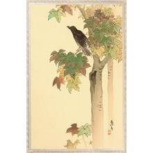 Kumagai Naohiko: Crow - Artelino