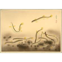 Ono Bakufu: Pictures of Fish in Japan - Loach - Artelino