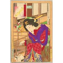 Toyohara Kunichika: Beauty from Musashi - Beauty and Cat - Artelino