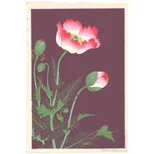 Japanese Print "Poppies" by Ohara Koson, 小原古邨 (Ohara Koson)