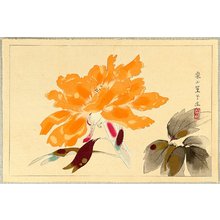 Tsuchiya Rakusan: Selected Pictures of Koushisei - Peony - Artelino