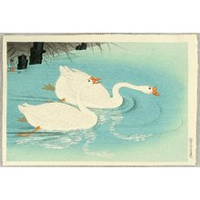 Ohara Koson: Two Swans - Artelino