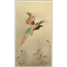 Ohara Koson: Pheasant in Flight - Artelino