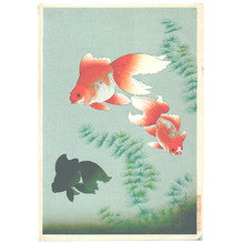 Ono Bakufu: Goldfish - Artelino