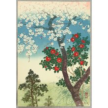 Kawatsura Yoshio: Cherry and Camellia - Artelino