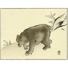 Unknown: Bear - Artelino