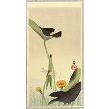 小原古邨: Dragonfly and Lotus - Artelino