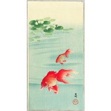 Ohara Koson: Two Goldfish - Artelino