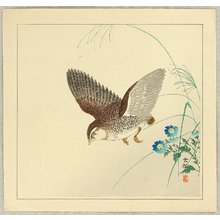 Ohara Koson: Quail and Blue Flowers - Artelino