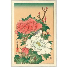 Utagawa Hiroshige: Peonies and Bird - Artelino