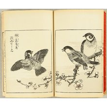 Tachibana Morikuni: E-hon: Album of Flowers and Birds - Artelino