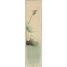 Unknown, 無款 (null)による浮世絵「Dragonfly and Lotus」