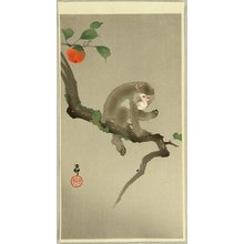 Ohara Koson: Monkey in a Tree - Artelino