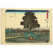 Utagawa Hiroshige: Tokaido Goju-san Tsugi (Chuban) - Artelino