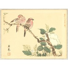 今尾景年: Keinen Kacho Gakan Juni Zu - Robins and Peony 