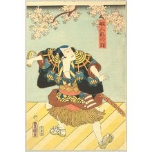 Japanischer Druck "Samurai under Cherry Blossoms" von Utagawa Kunisada, 歌川国貞 (Utagawa Kunisada)