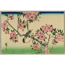 Utagawa Hiroshige III: Bird and Cherry Blossoms - Artelino