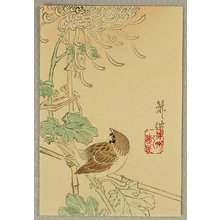 Komai Ryusen: Sparrow and Chrysanthemum - Artelino