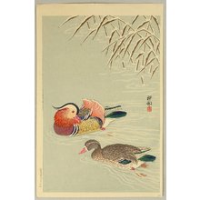 小原古邨: Mandarin Ducks in Snow - Artelino