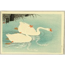 Ohara Koson: Two Swans - Artelino