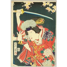 Toyohara Kunichika: Princess and Sword - Artelino