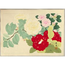 Tanigami Konan: Camellia - Artelino