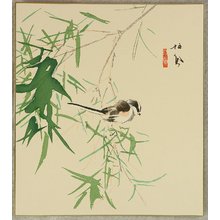 Takeuchi Seiho: Bird - Artelino