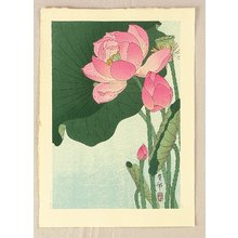 小原古邨: Flowering Lotus - Artelino
