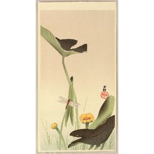 Ohara Koson: Dragonfly and Lotus - Artelino