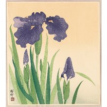 小原古邨: Flowering Iris - Artelino