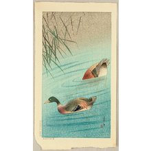 Komori Soseki: Two Mallard Ducks - Artelino