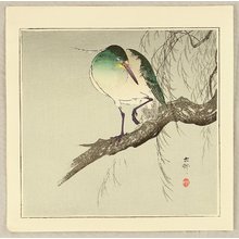 Ohara Koson: Green Heron - Artelino