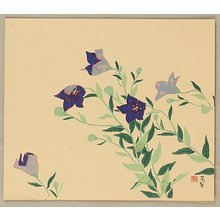 Miwa Chosei: Blue Balloon Flower - Artelino