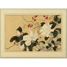 Tsuchiya Rakusan: Selected Pictures of Koushisei - Camelia and Nandin - Artelino