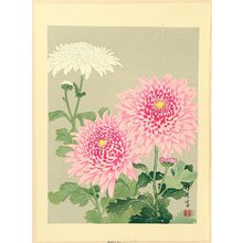 無款: Chrysanthemums - Artelino