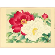 Unknown: Peonies - Artelino