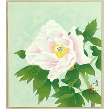 Kono Toyokazu: Peony - Artelino