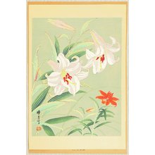 Unknown, 無款 (null)による浮世絵「Lilies」