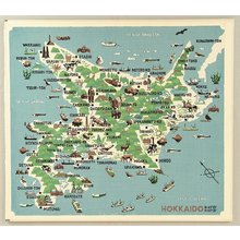Omoto Yasushi: Pictorial Hokkaido Map - Artelino