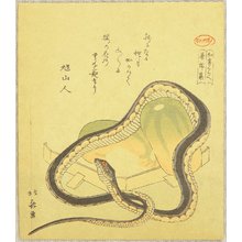 葛飾北斎: Snake and Gourds - Artelino