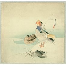 Ogata Gekko: Mandarin Ducks - Artelino