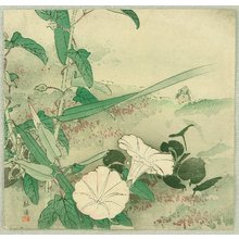 Tsukioka Kogyo: Morning Glory - Artelino