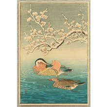 Ohara Koson: Mandarin Ducks - Artelino