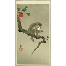 Ohara Koson: Monkey in a Tree - Artelino