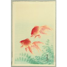 Ohara Koson: Goldfish - Artelino