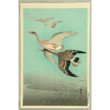 小原古邨: Flock of Geese - Artelino