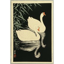 小原古邨: Swan and Reeds - Artelino
